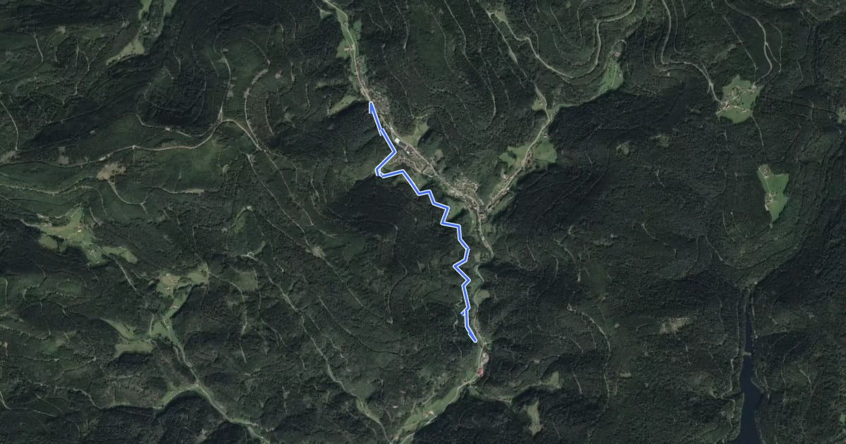 Маршрут Panoramaweg Bad Rippoldsau на спутниковом снимке