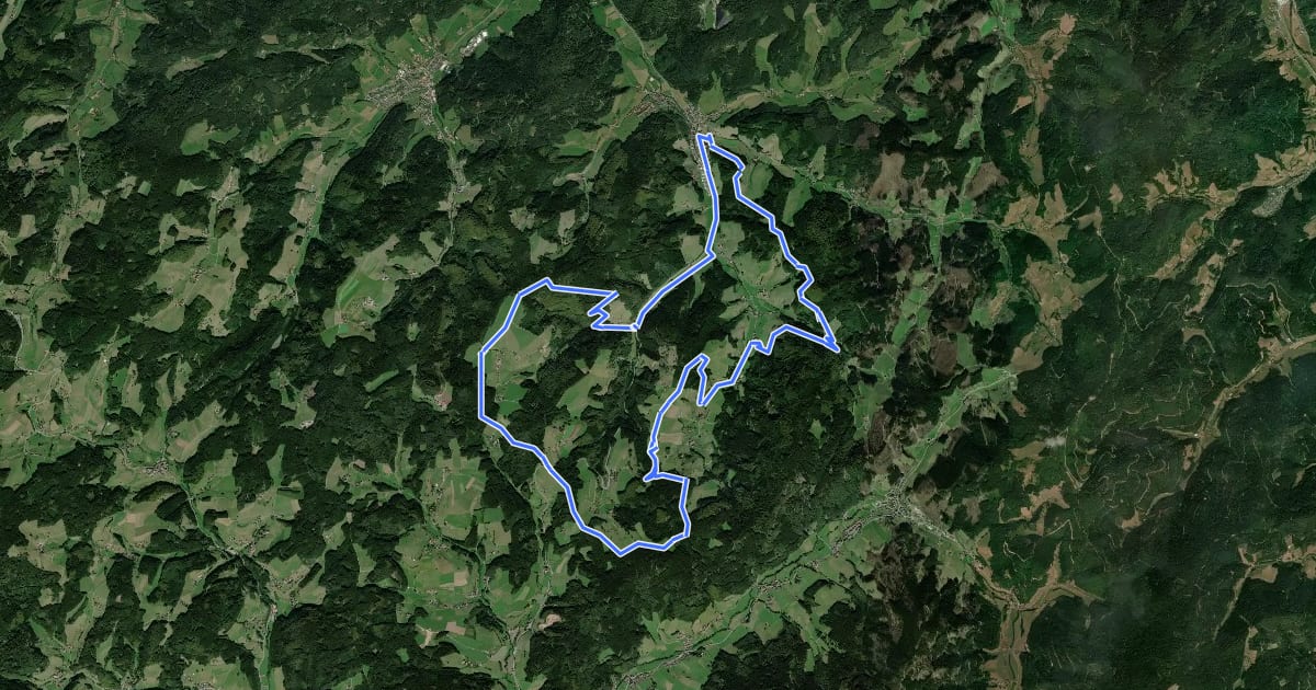 Маршрут Panoramaweg Mühlenbach große Runde на спутниковом снимке