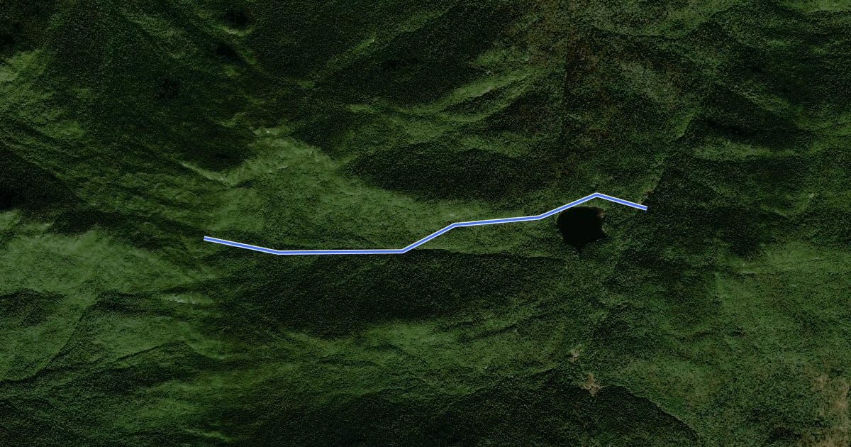 Маршрут Panther Brook Trail на спутниковом снимке