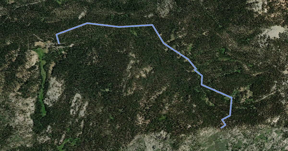 Маршрут Panther Gap Trail на спутниковом снимке