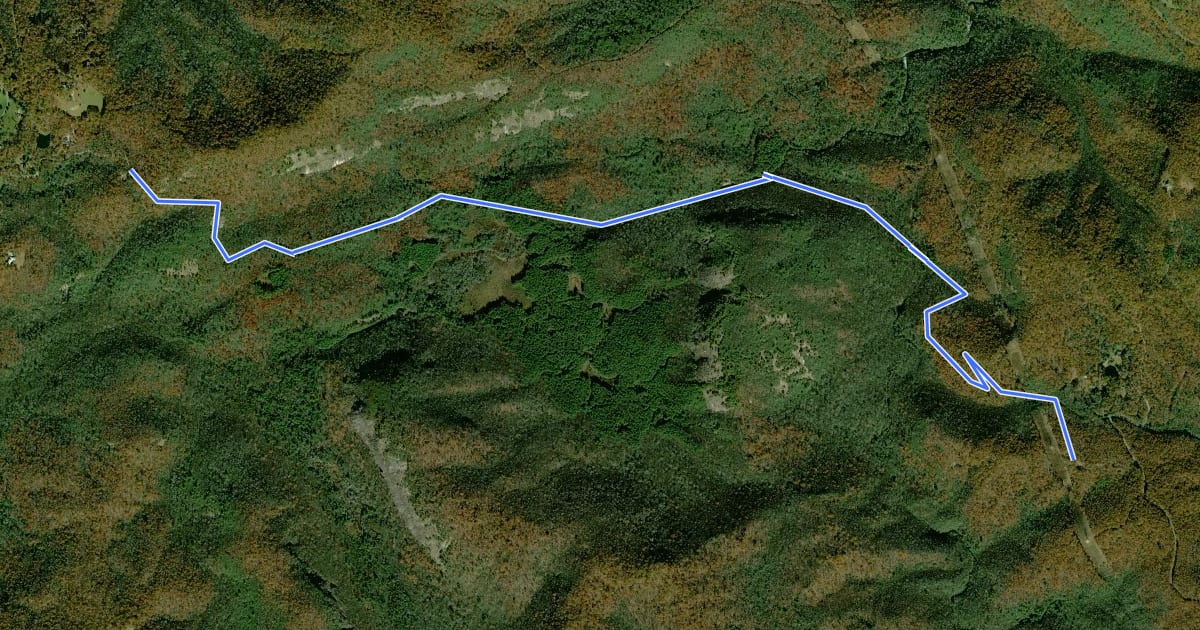 Маршрут Panthertown Valley Trail на спутниковом снимке
