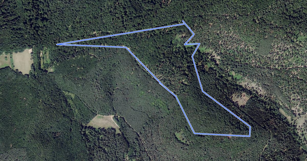 Маршрут Parcours circulaire du Pilgerfelsen на спутниковом снимке