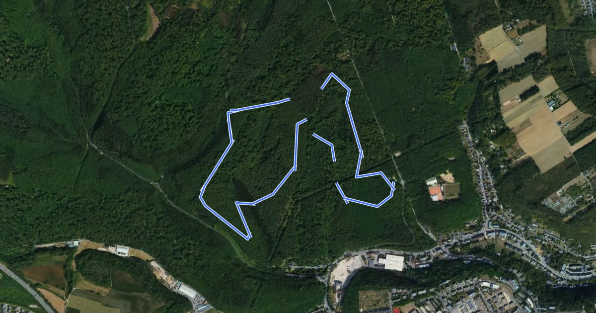 Маршрут Parcours de cross на спутниковом снимке