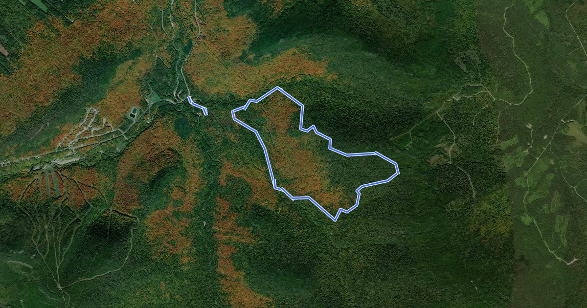 Маршрут Parcours du Mont St-Magloire на спутниковом снимке