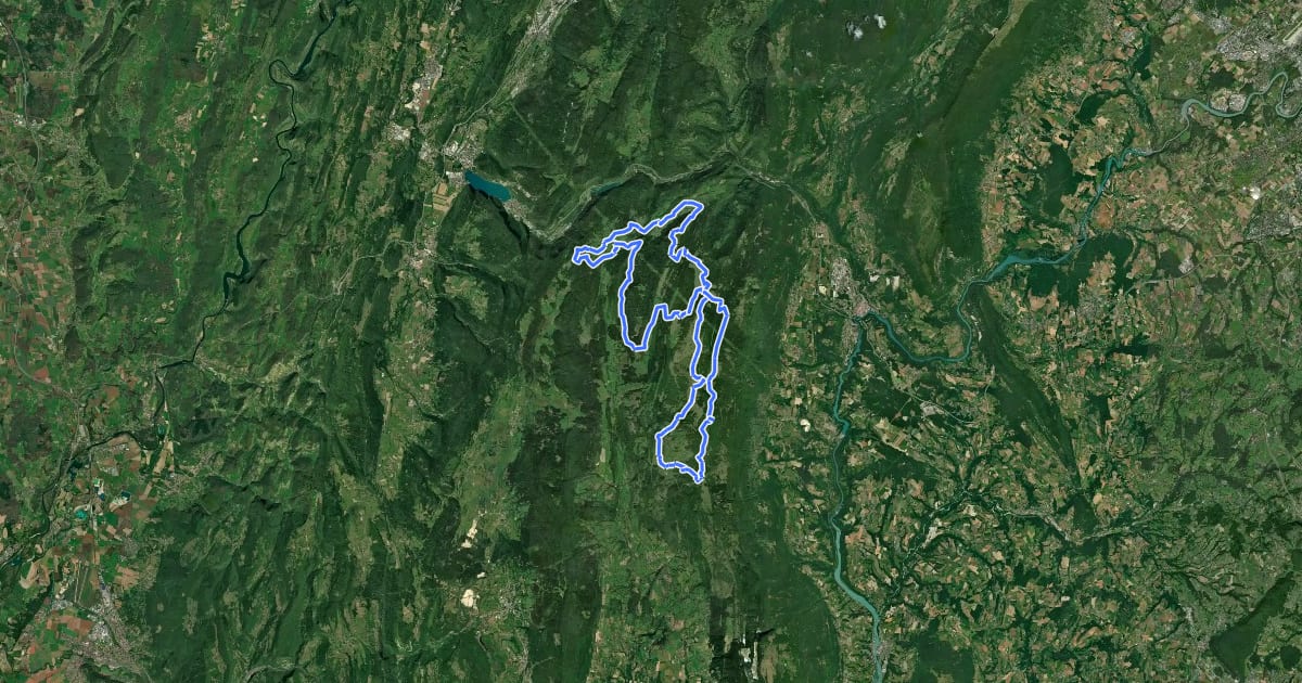 Маршрут Parcours VTT 15 noir - Le grand tour du plateau de Retord - Espace FFC Ain Forestière на спутниковом снимке