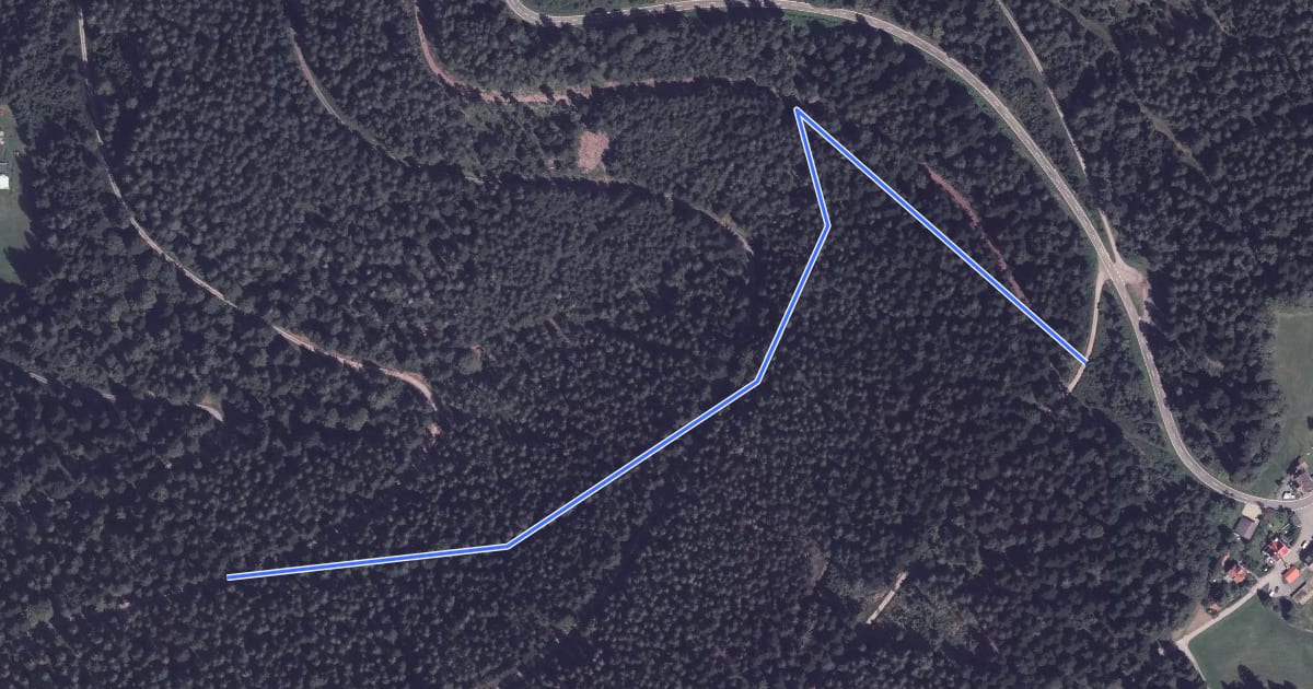 Маршрут Parkplatz am Zwieselberg - Vorderes Bautschenloch на спутниковом снимке