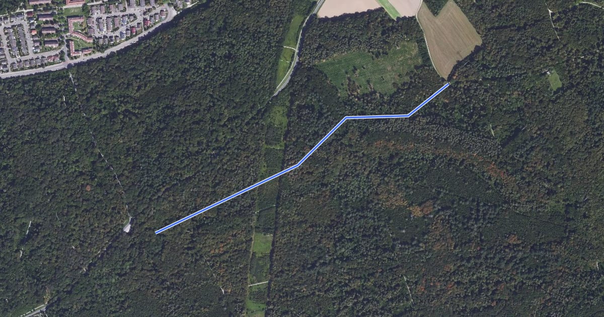 Маршрут Parkplatz Großtannenwald - Am Buchberg на спутниковом снимке