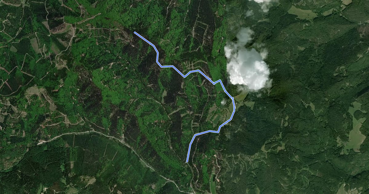 Маршрут Parkplatz Viehgraben (Thal) - Weidengraben - Almes Kogel на спутниковом снимке