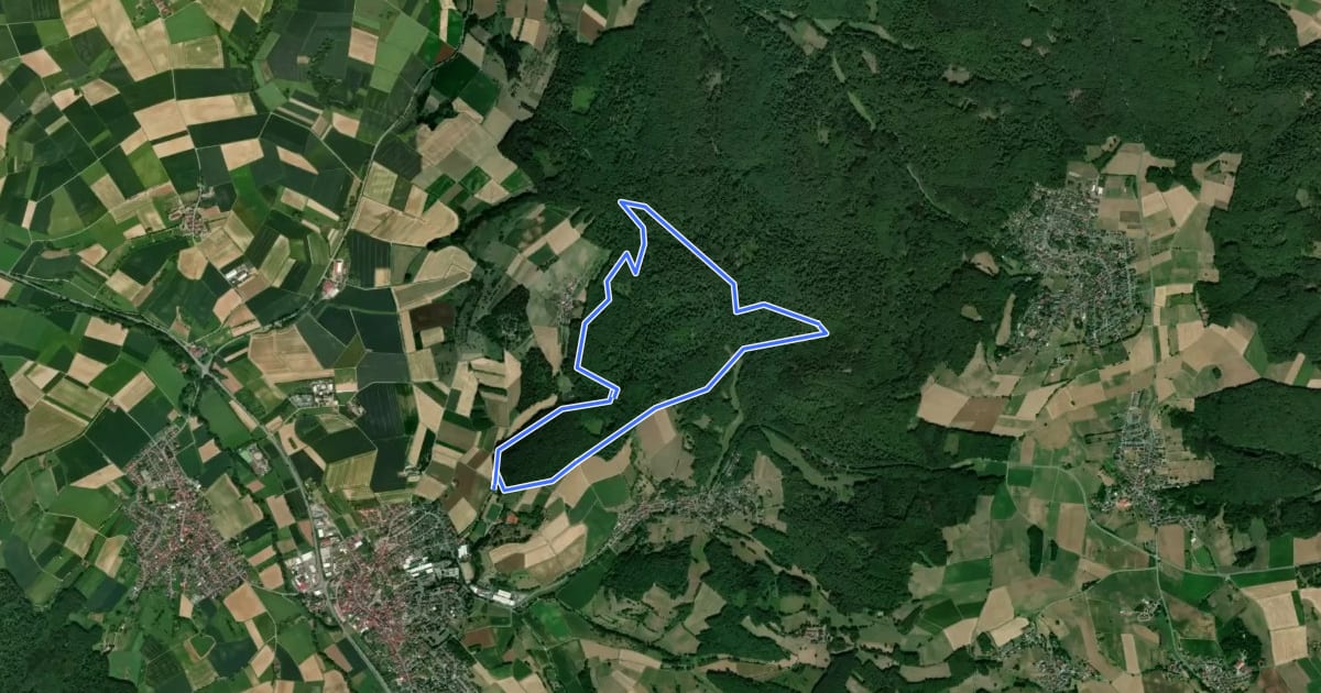 Маршрут Parkplatzrundwanderweg Am Hinterwald 4 : Elisabethenruheweg на спутниковом снимке