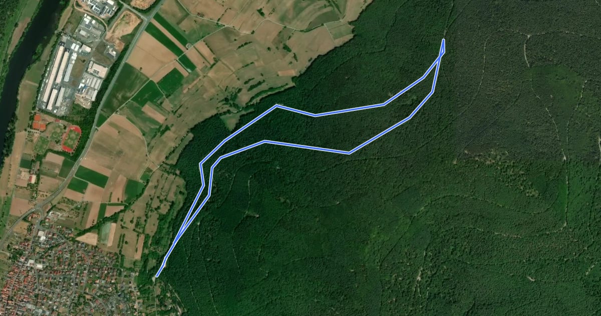 Маршрут Parkplatzrundwanderweg Bürgstadt Stutz : Bürgstädter Berg Weg на спутниковом снимке