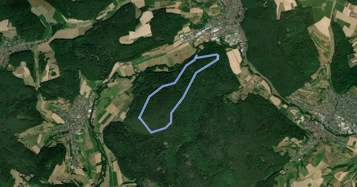 Маршрут Parkplatzrundwanderweg Buchberg 1 : Buchberg-Weg на спутниковом снимке