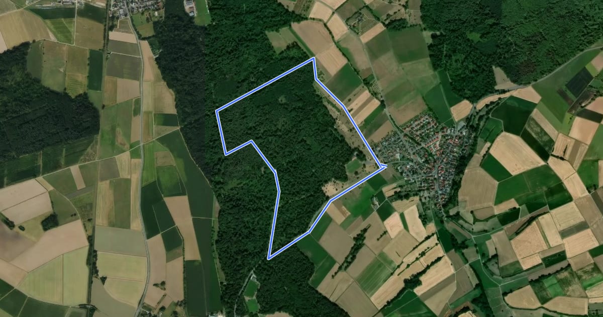 Маршрут Parkplatzrundwanderweg Rosenhöhe 1 : Riedelberg-Weg на спутниковом снимке