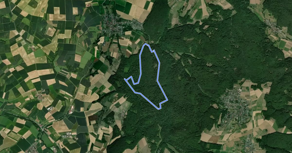 Маршрут Parkplatzrundwanderweg Schmelzmühle 1 : Märkerwaldweg на спутниковом снимке