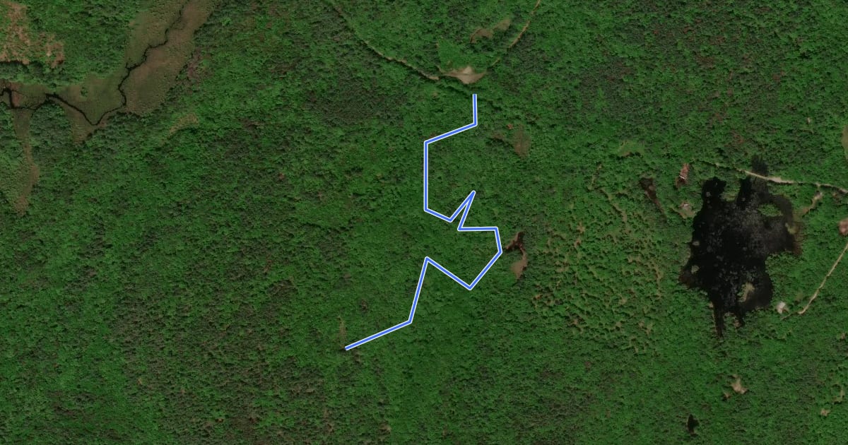 Маршрут Parsonage Loop Trail на спутниковом снимке