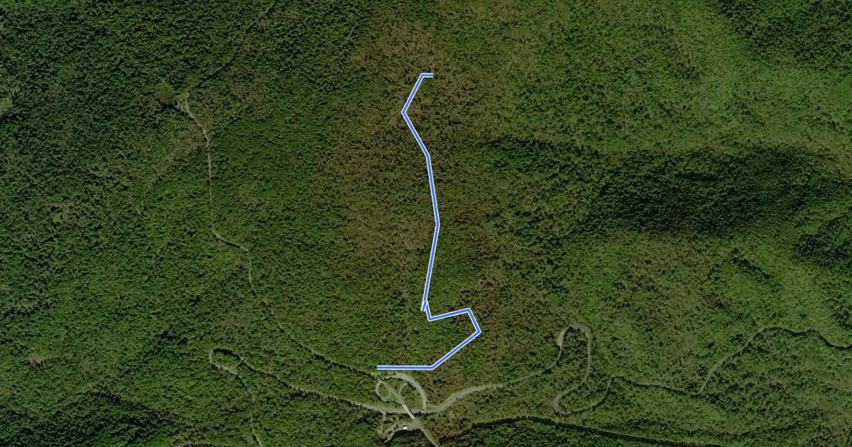 Маршрут Pass Mountain Hut Road на спутниковом снимке