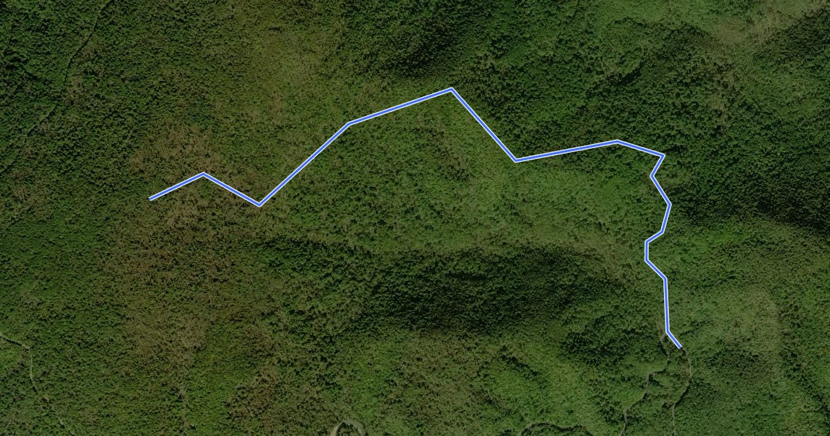 Маршрут Pass Mountain Trail на спутниковом снимке