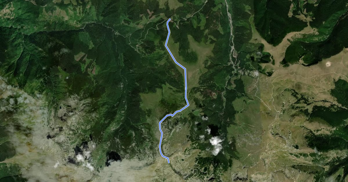 Маршрут Pasul Groapa Seacă - Vârful Găuri - Șaua Piatra Tăiată на спутниковом снимке