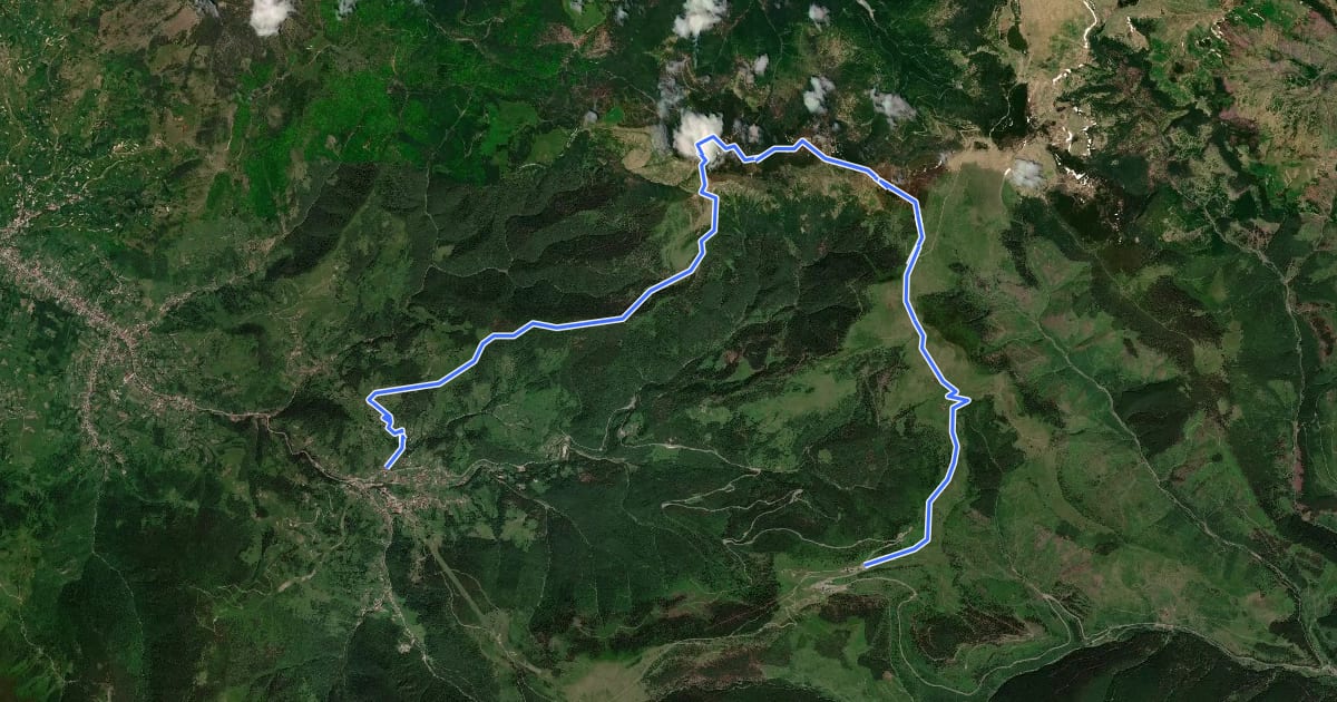 Маршрут Pasul Prislop - intersecție traseul BR (sub Vf. Hăjmaru) - Vf. Cearcănul - Valea Furului - Borșa на спутниковом снимке