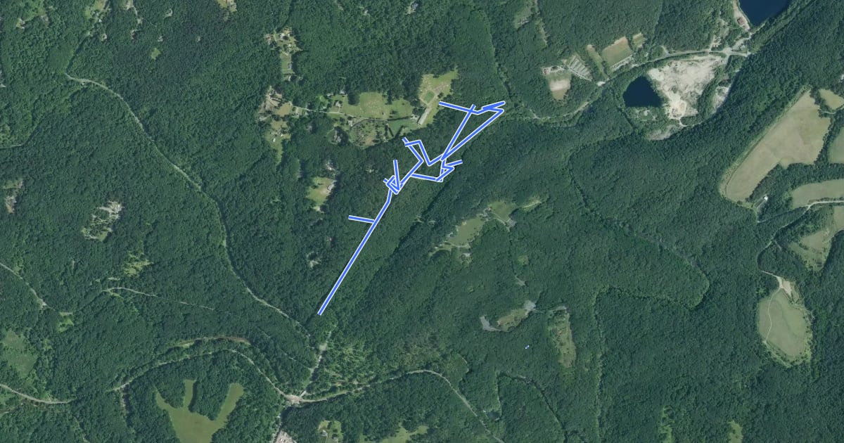 Маршрут Patapsco State Park - Mckeldin на спутниковом снимке