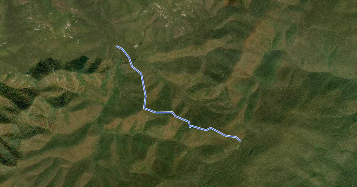 Маршрут Patterson Ridge Trail на спутниковом снимке