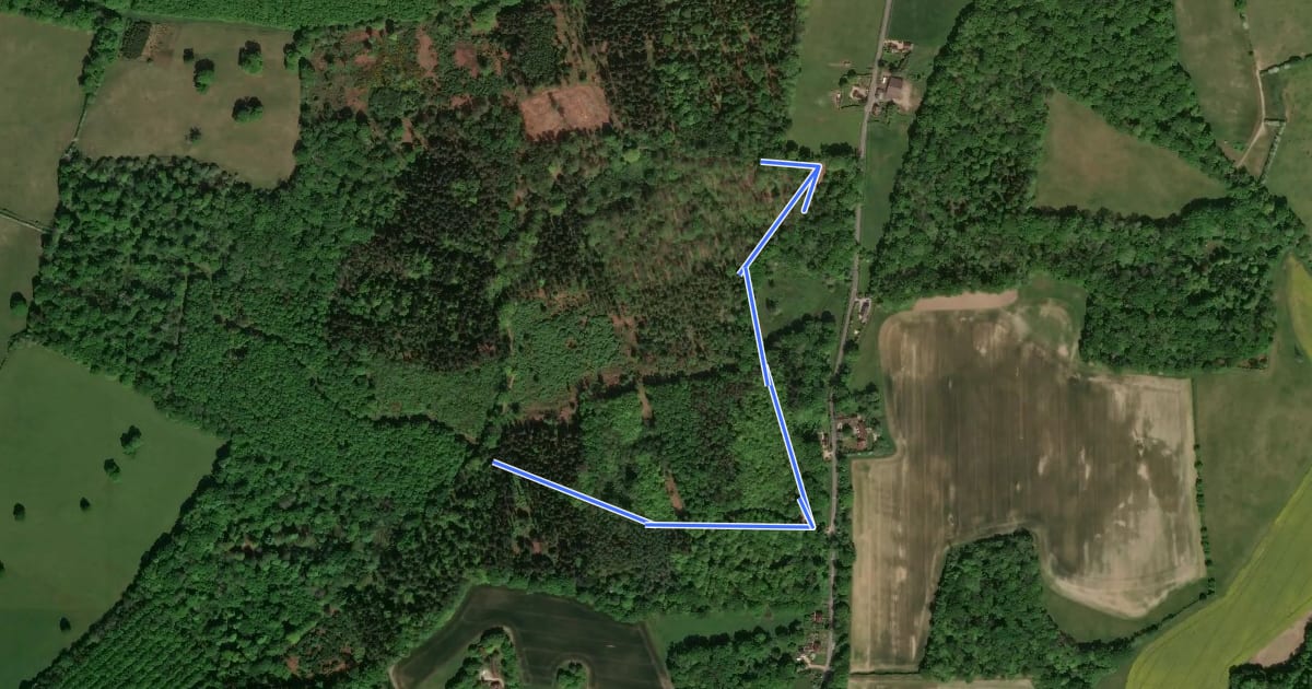 Маршрут PAWS Woodland Walk, Mottisfont на спутниковом снимке
