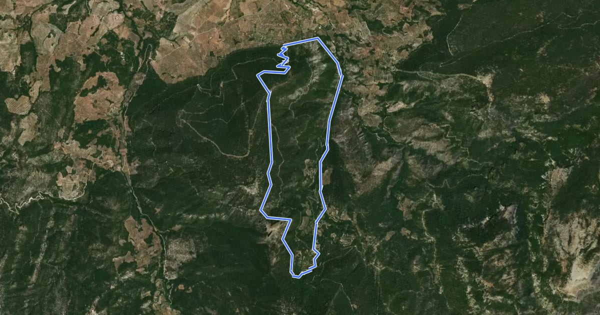 Маршрут Peña del Olivar на спутниковом снимке