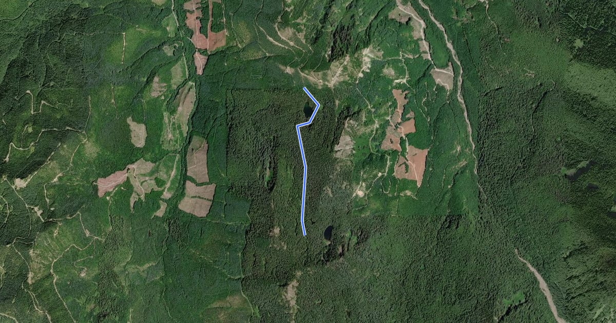 Маршрут Peak Two Trail #268 на спутниковом снимке