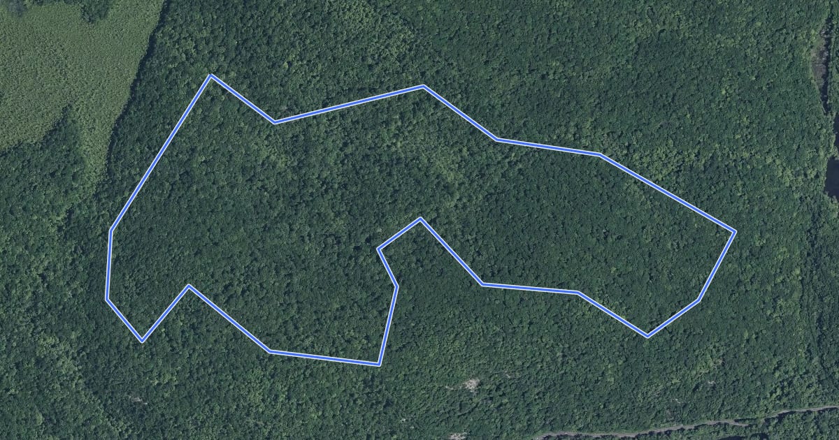 Маршрут Pebble Trail на спутниковом снимке
