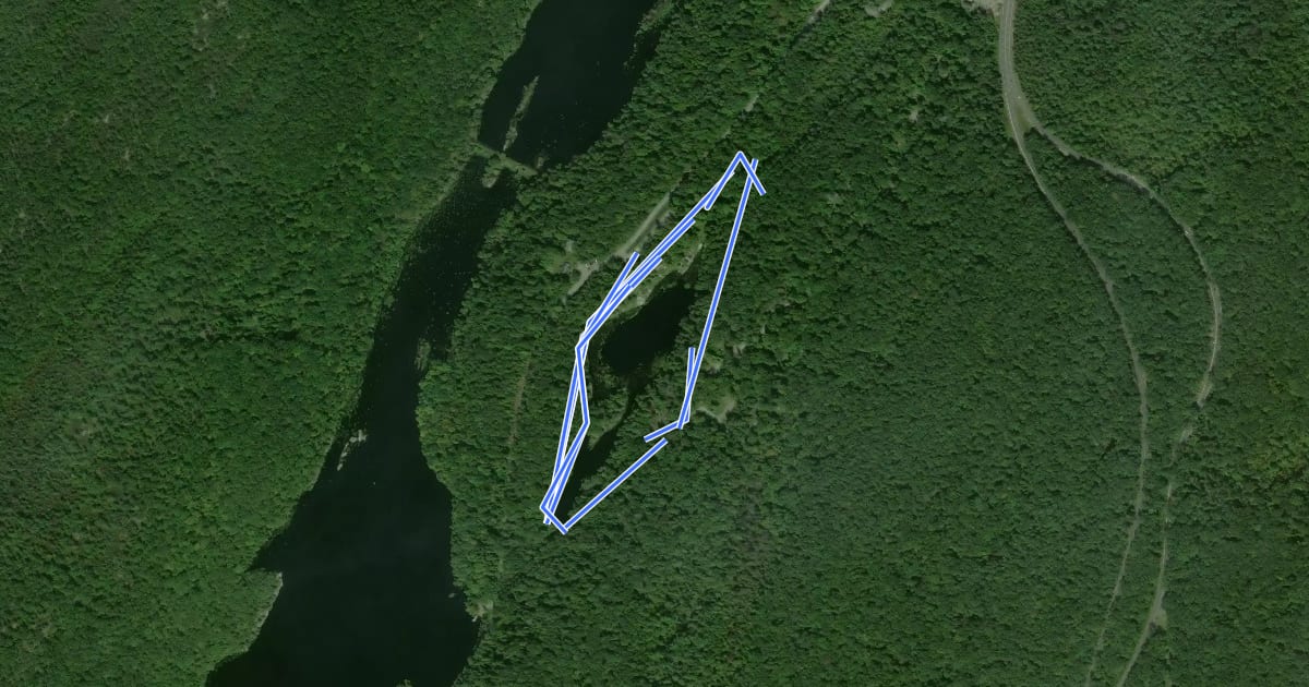 Маршрут Pelton Pond Trail на спутниковом снимке