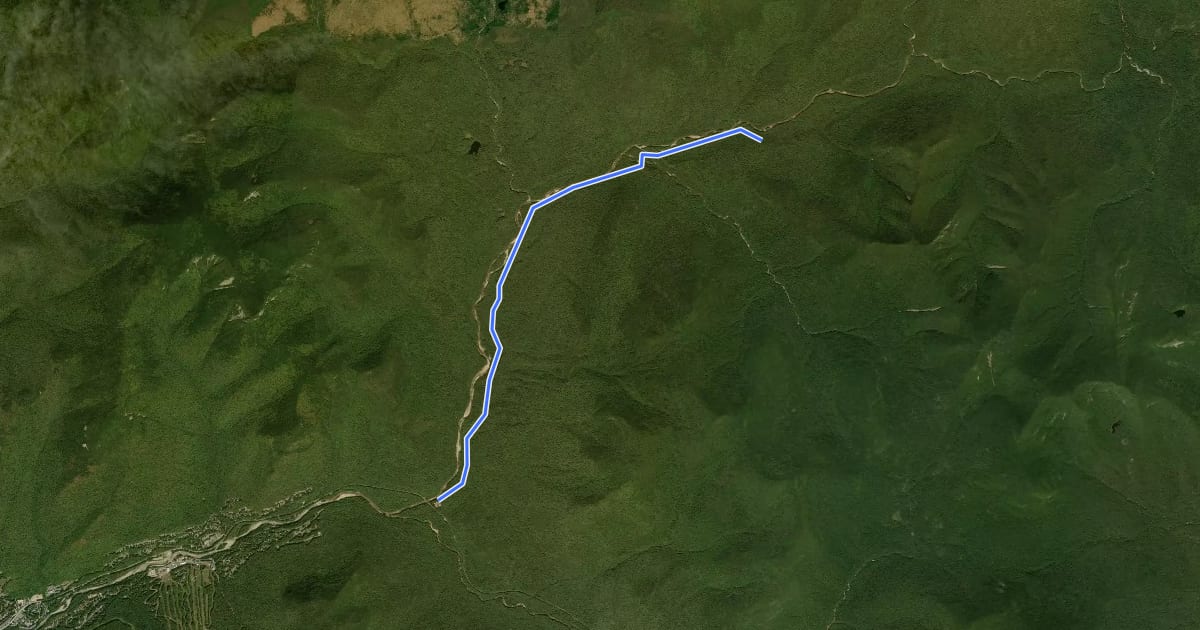 Маршрут Pemi East Side Trail на спутниковом снимке