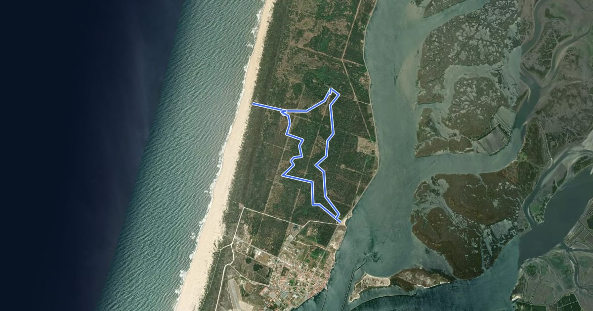 Маршрут Percurso Vermelho da Reserva Natural das Dunas de São Jacinto на спутниковом снимке