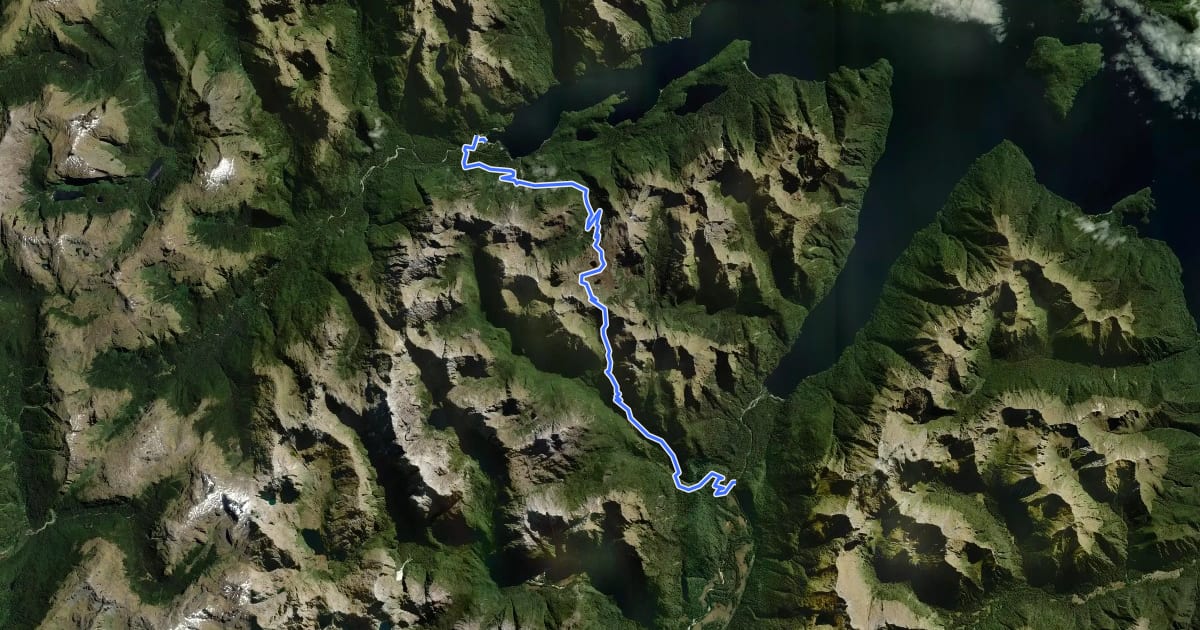 Маршрут Percy Pass Route (Fiordland) на спутниковом снимке