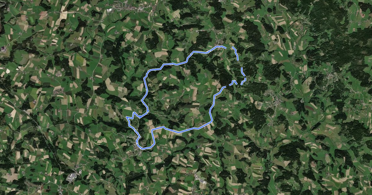 Маршрут Pesenbach-Hansberg-Runde на спутниковом снимке
