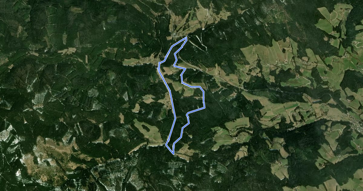 Маршрут Peter Rosegger Rundwanderweg 2 (Alpl Waldheimat Rundwanderweg) на спутниковом снимке