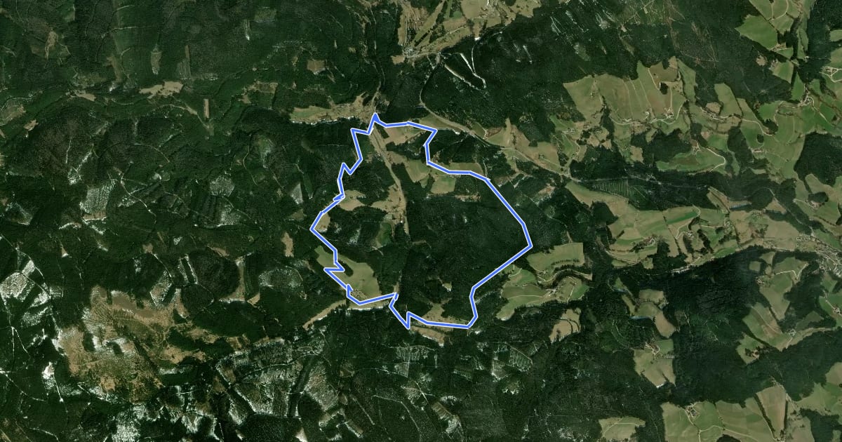Маршрут Peter Rosegger Rundwanderweg 3 (Alpl Waldheimat Rundwanderweg) на спутниковом снимке