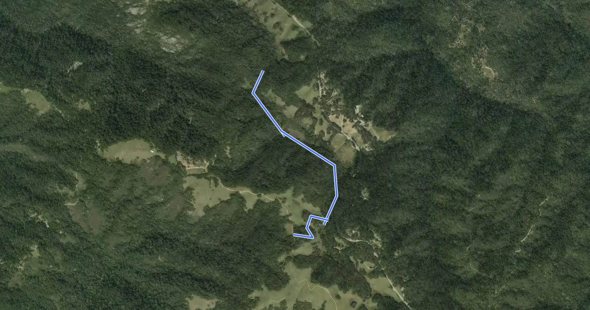 Маршрут Peters Creek Trail на спутниковом снимке