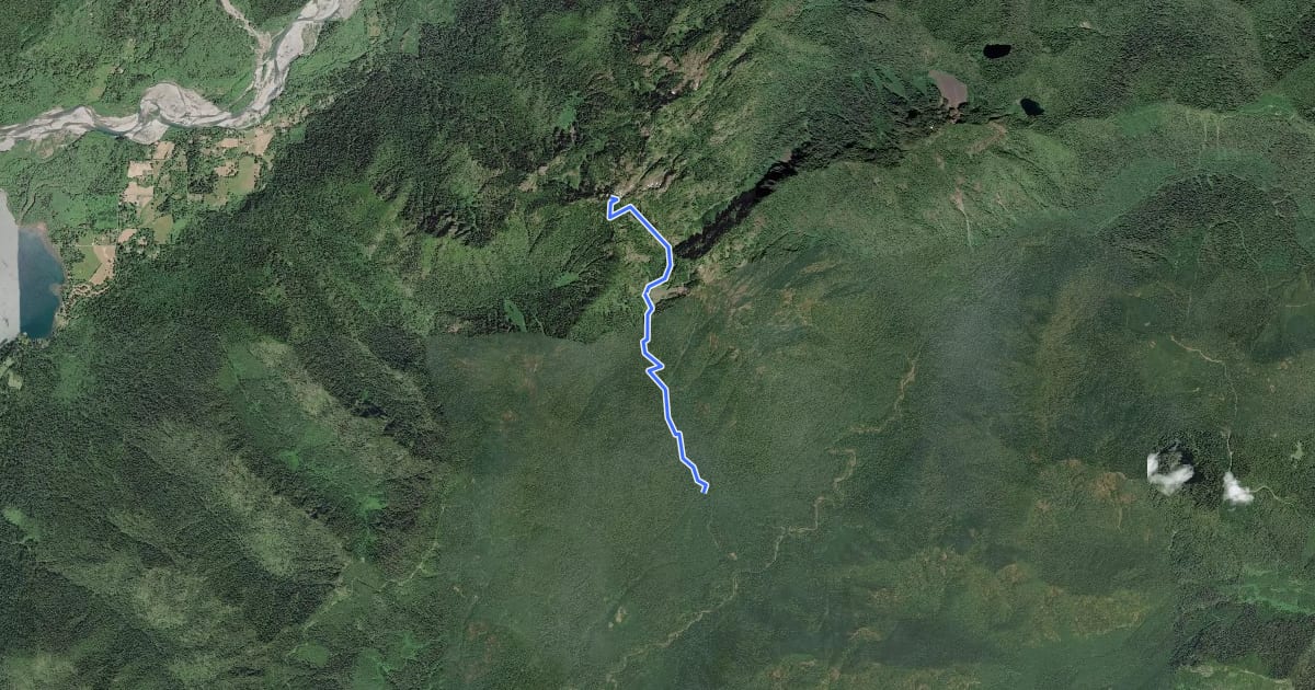 Маршрут Petes Creek Trail #858 на спутниковом снимке