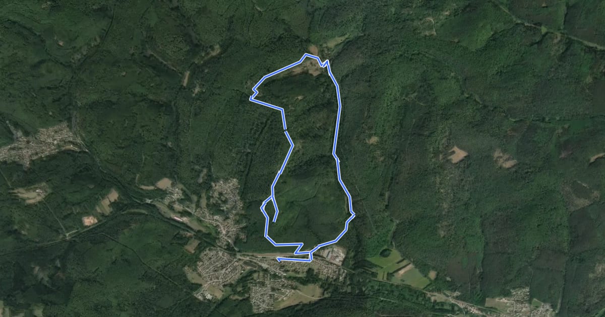 Маршрут Petit Circuit autour de Wingen-sur-Moder на спутниковом снимке
