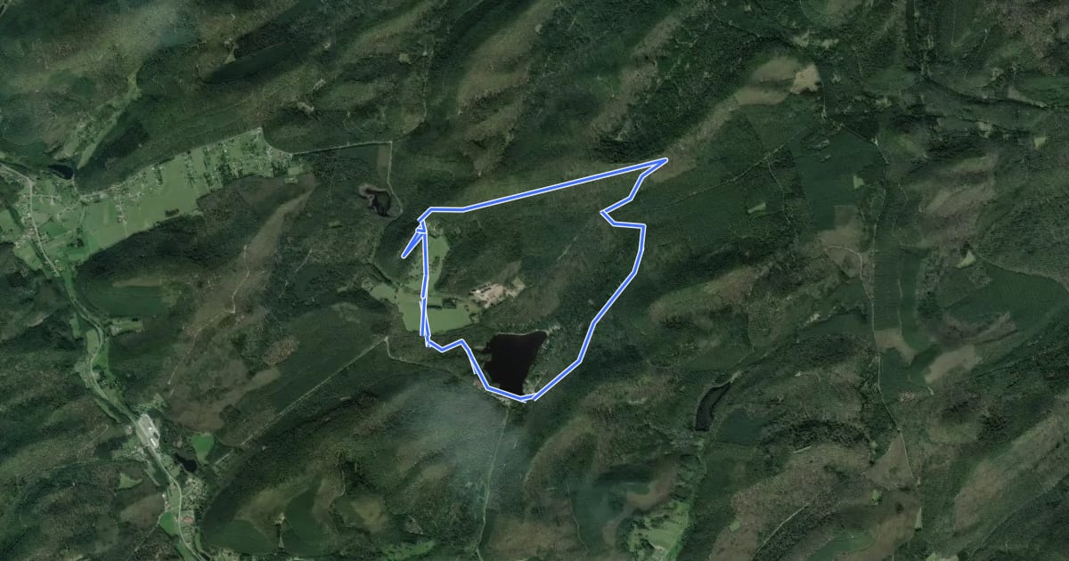 Маршрут Petit circuit de l'étang de Hanau на спутниковом снимке