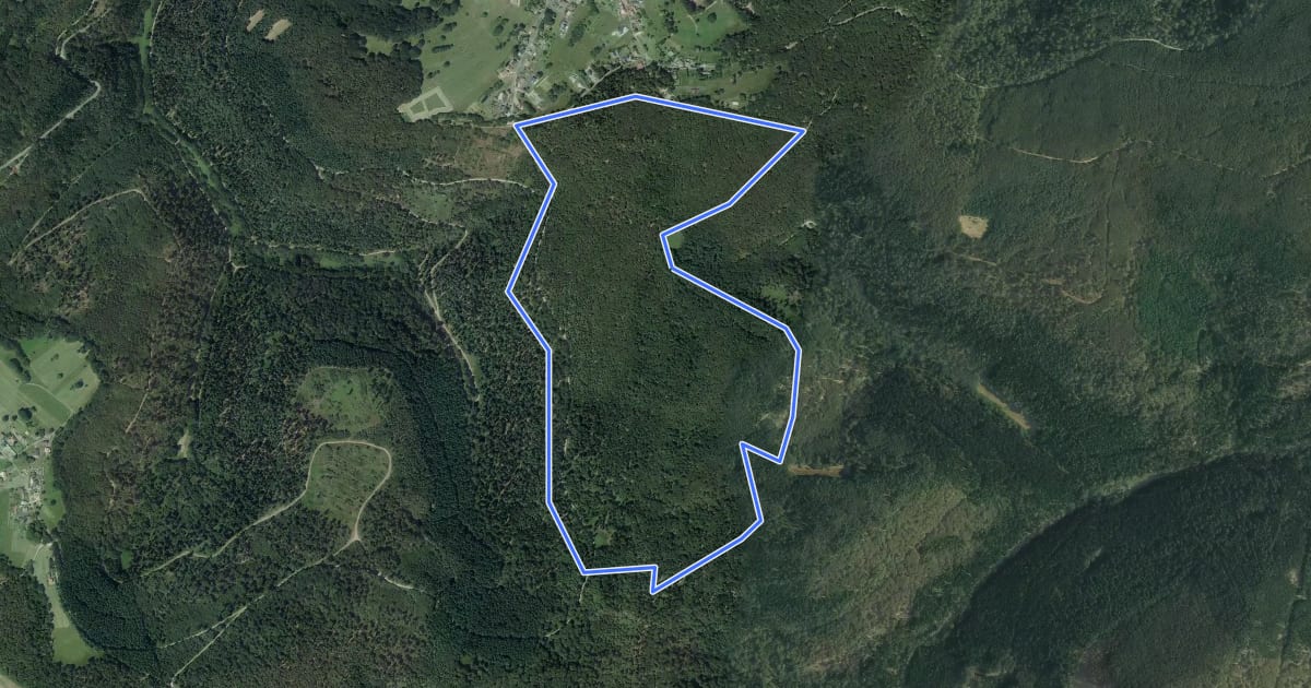 Маршрут Petit Circuit des Bornes на спутниковом снимке