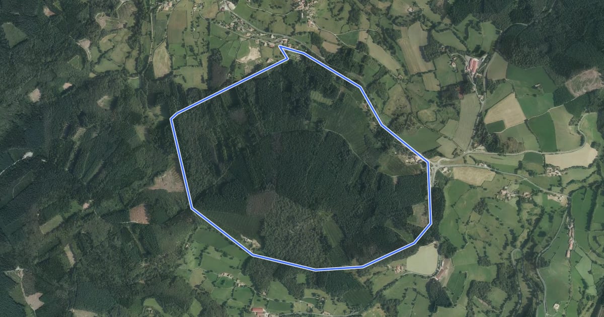 Маршрут Petit circuit du Mont Chonay на спутниковом снимке