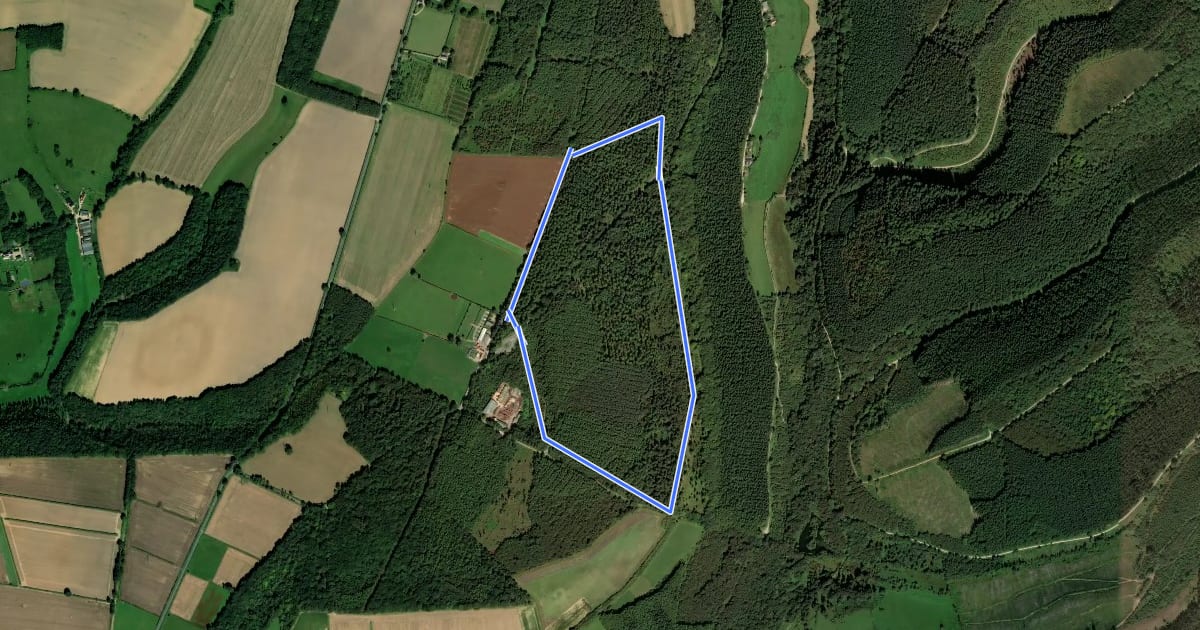 Маршрут Pexton Trail на спутниковом снимке