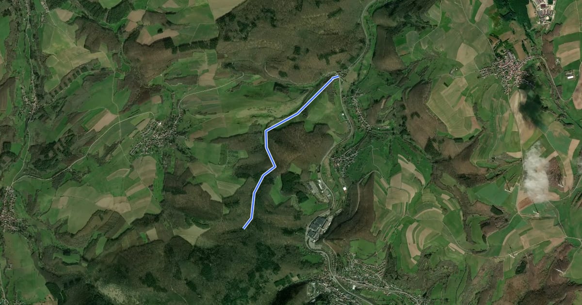Маршрут Pfälzer Höhenweg Zuweg Reckweilerhof на спутниковом снимке