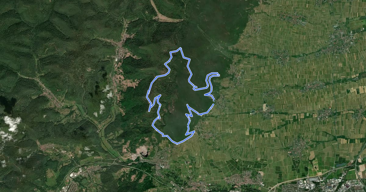 Маршрут Pfälzer Hüttentour на спутниковом снимке