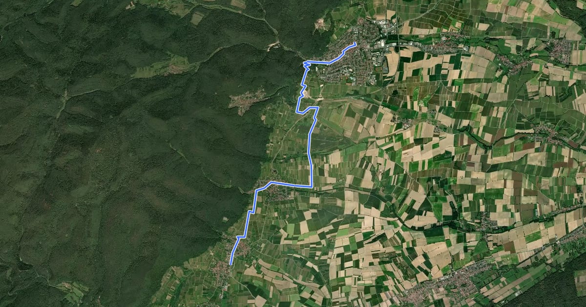 Маршрут Pfälzer Mandelpfad - Etappe 7 на спутниковом снимке