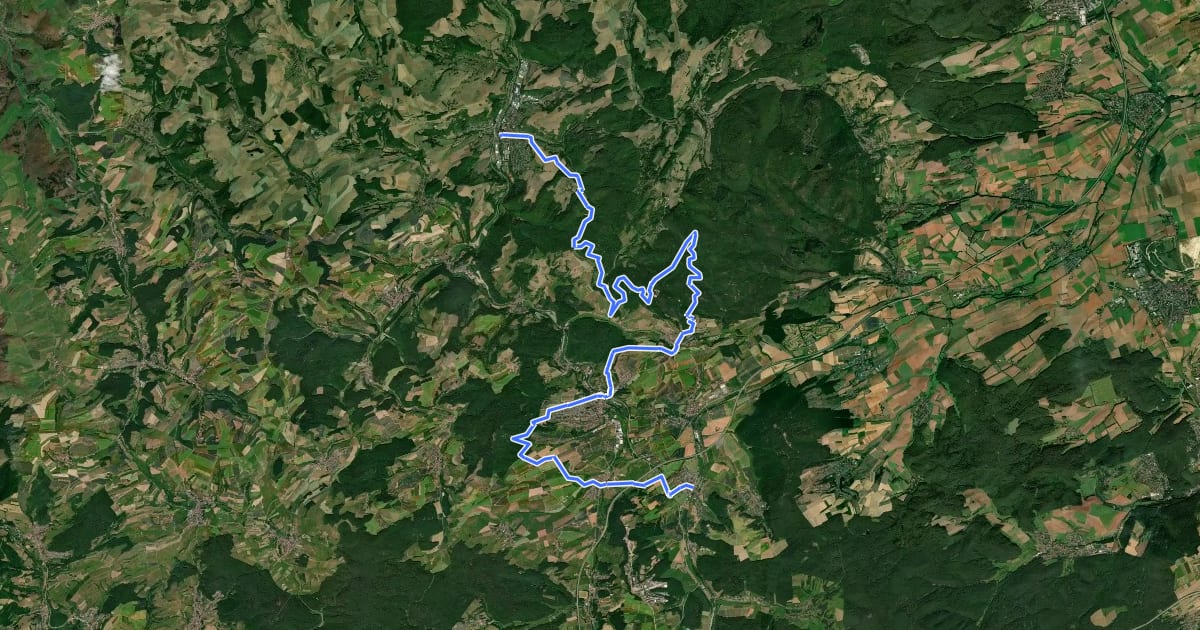 Маршрут Pfälzerwald Blauer Punkt на спутниковом снимке