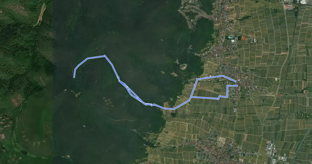 Маршрут Pfälzerwald Blauer Punkt #2 на спутниковом снимке