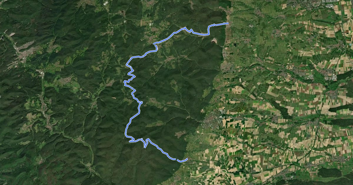 Маршрут Pfälzerwald Gelb-Grüner Balken на спутниковом снимке