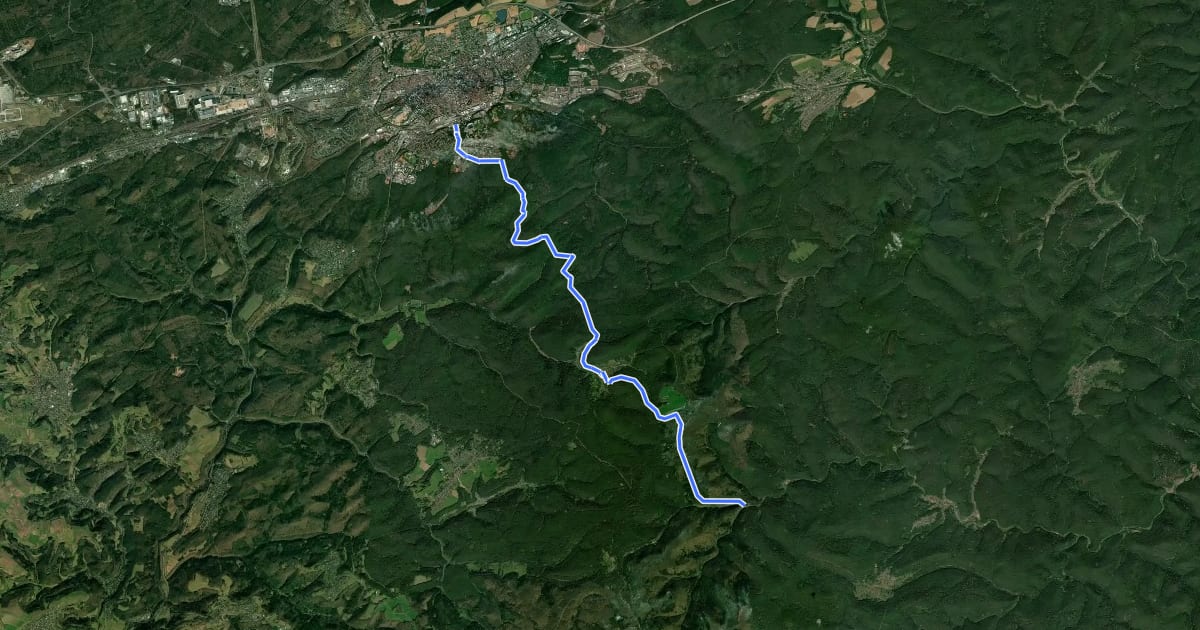 Маршрут Pfälzerwald Gelber Balken : Kaiserslautern <=> Speyerbrunn на спутниковом снимке