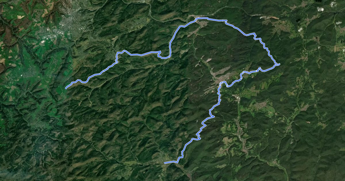 Маршрут Pfälzerwald Gelber Punkt на спутниковом снимке